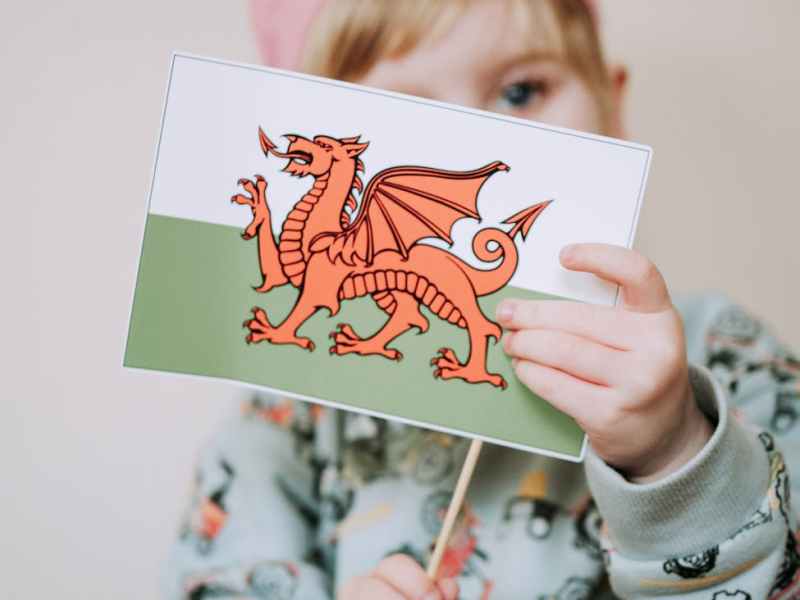 Research engagement with the Welsh deaf&nbsp;community